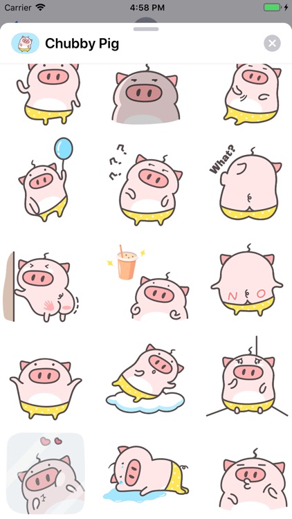 Chubby Pig Animated