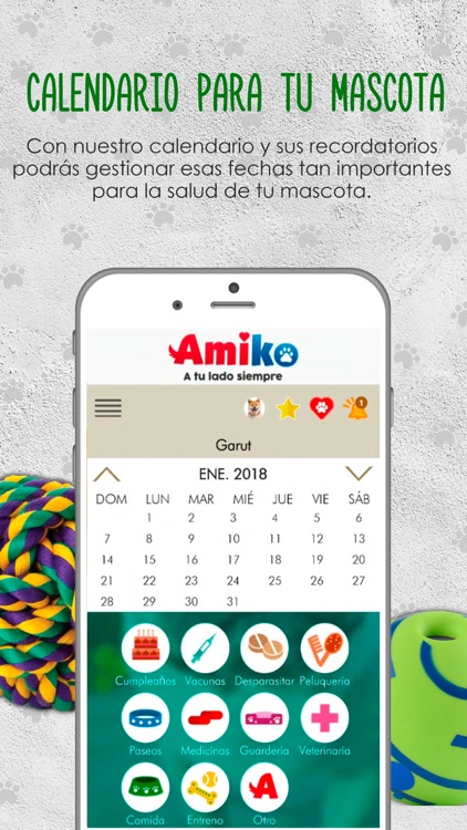 Amiko screenshot-3