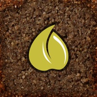 Grechka bread pour PC