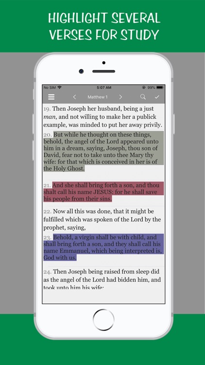 Smiths Bible Dictionary screenshot-8