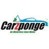 Carzponge