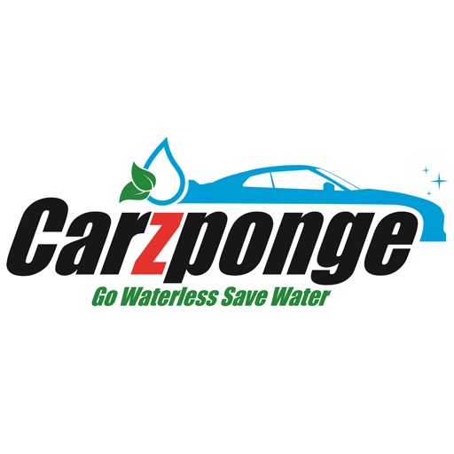 Carzponge
