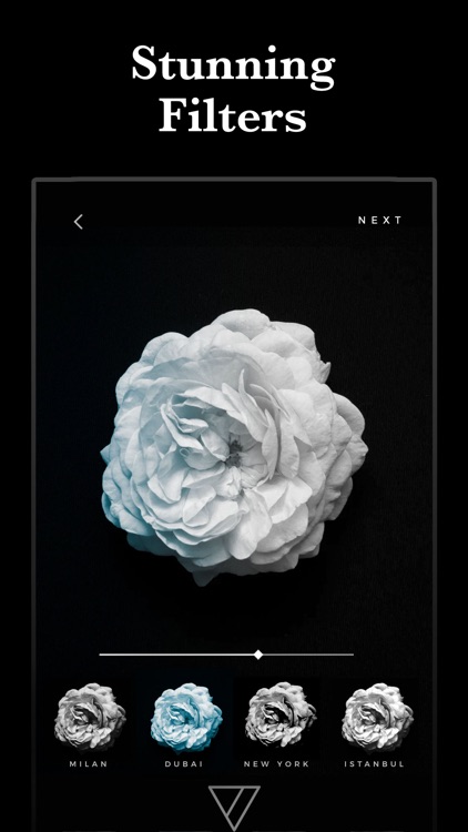Carbon - B&W Filters & Effects screenshot-8
