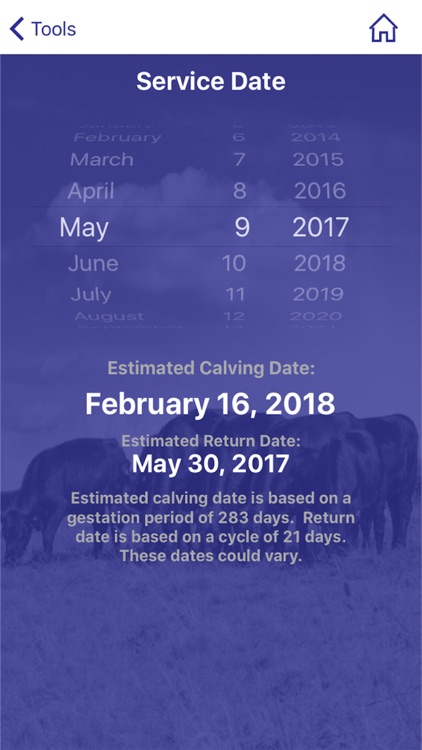 Cattle Market Mobile screenshot-4