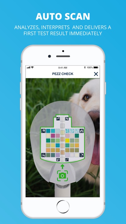 PEZZ - Urinalysis for dogs