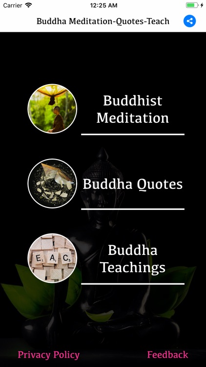 Buddha Meditation-Quotes-Teach