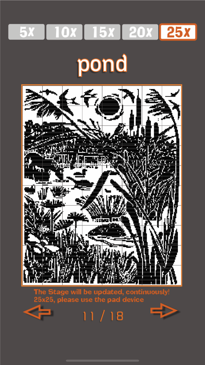 No.12 그림 네모네모노노그램,피크로스