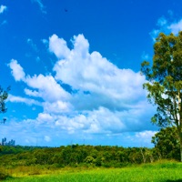 ShanghaiAirQuality for windows