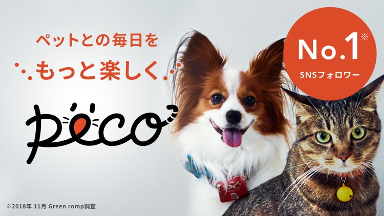 PECO(ペコ):可愛いどうぶつ動画・迷子サポートサービス