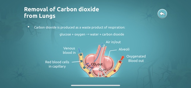 Excretion in Human Beings(圖4)-速報App