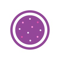 마카롱캠 - 동영상촬영,아날로그필터 PC 용