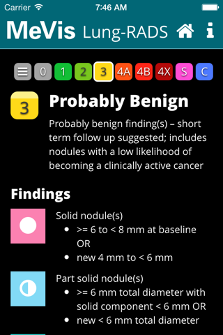 MeVis Lung-RADS - náhled