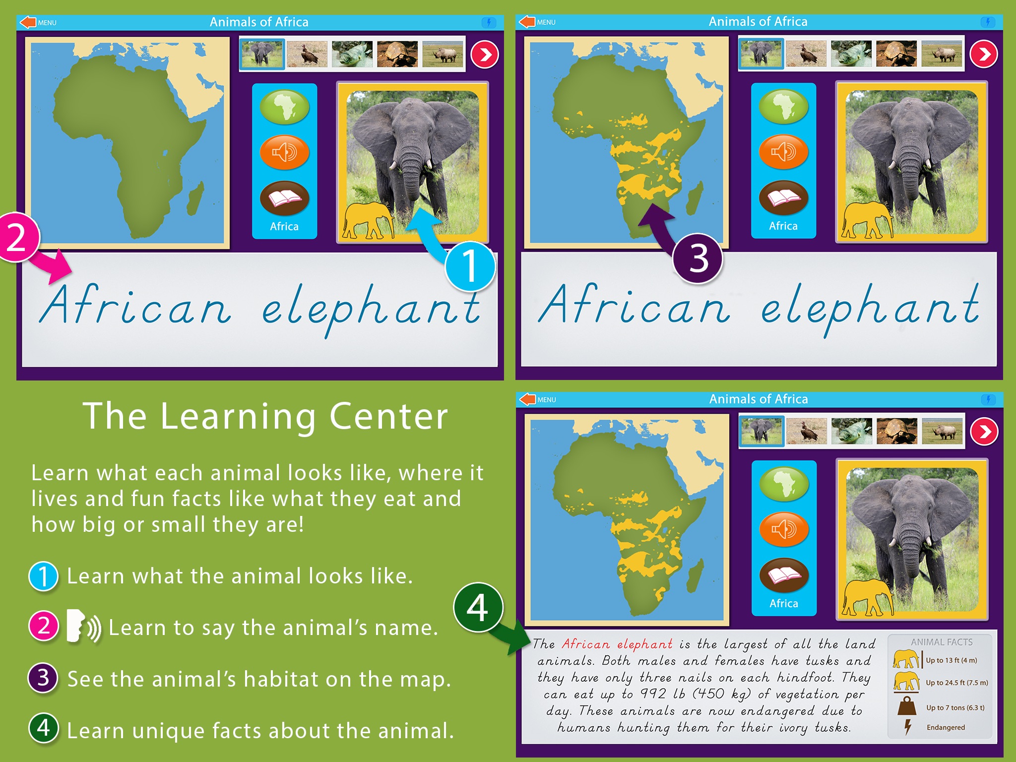 Montessori Animals of Africa screenshot 2