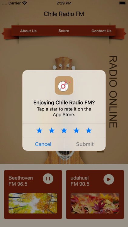 Chile Online Radio FM