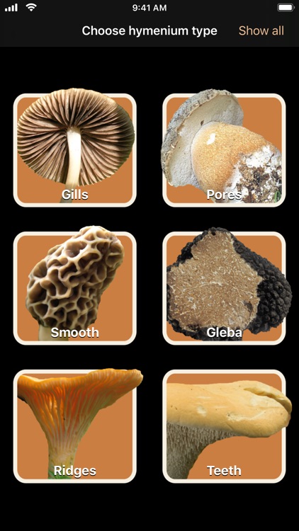 Fungi