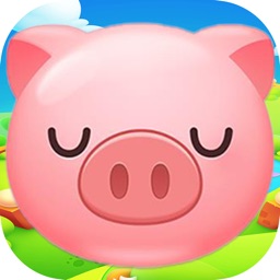 Piggy puzzle