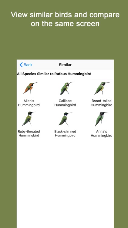 Sibley Guide to Hummingbirds screenshot-4