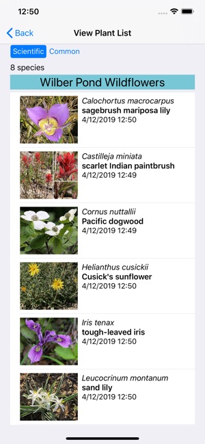 North California Wildflowers(圖7)-速報App