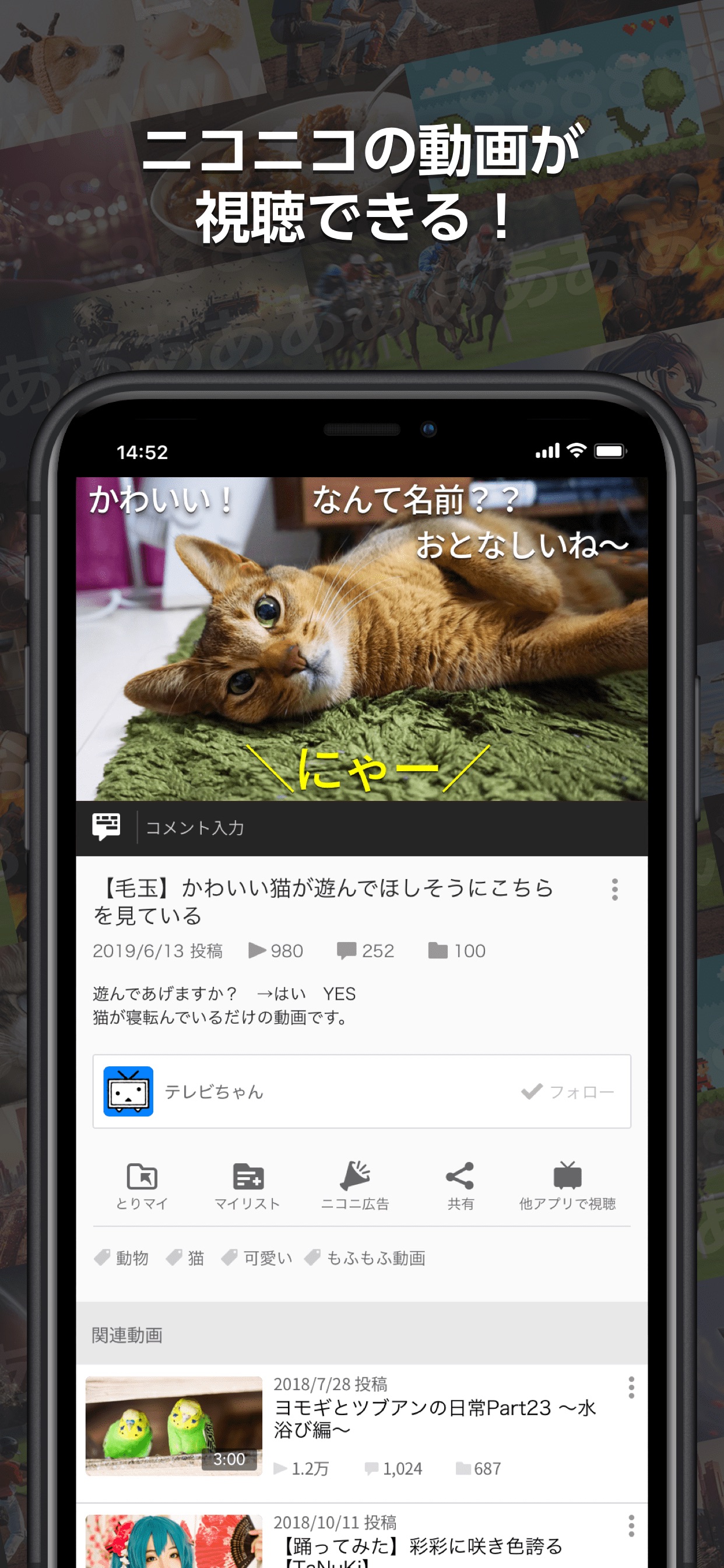 Niconico ニコニコ動画 App Store Review Aso Revenue Downloads Appfollow