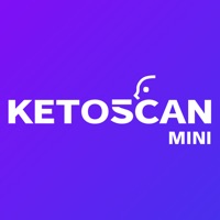 케토스캔 KETOSCAN  PC 용