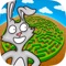 Icon Animal Mazes - Find the Exit