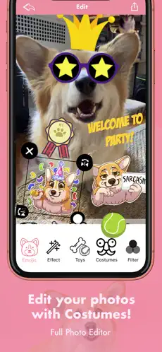 Ekran Görüntüsü 4 MaxiMojis - Corgi dog stickers iphone
