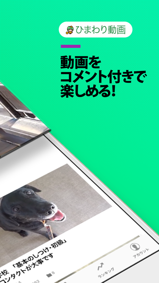 ひまわりの動画 字幕 吹き替え を無料視聴する方法 海外映画の動画まとめサイト リリックシネマカフェ