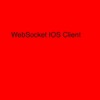 WebSocket Client