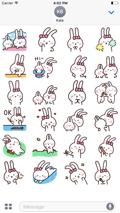 Happy Rabbit 2