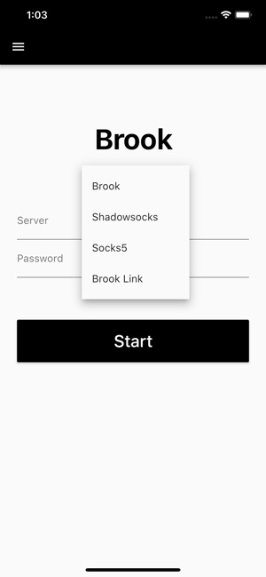 Brook - A cross-platform proxy(圖2)-速報App