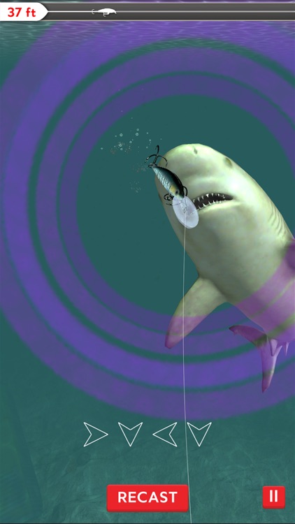 Rapala Fishing - Daily Catch screenshot-4