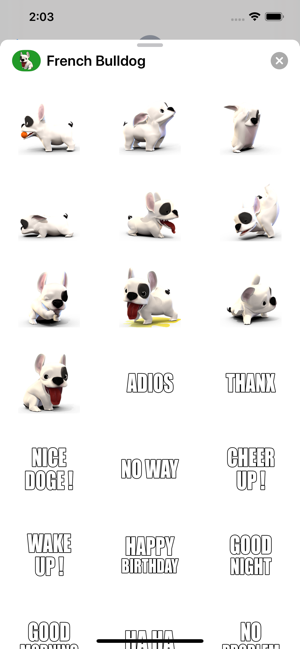 French Bulldog animated dog