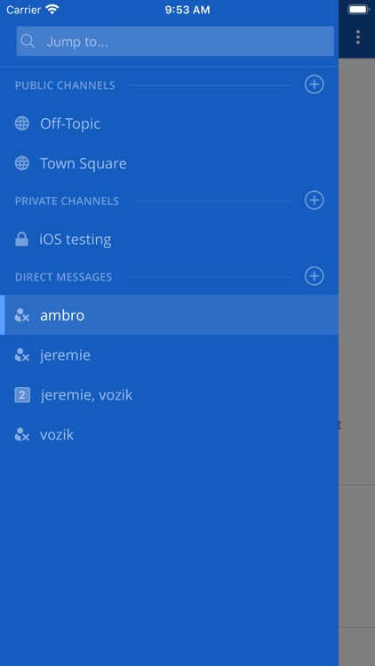 securTeam screenshot-4