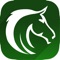 Horseplayer Toolkit continues to get better and better