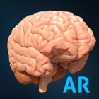 Top 13 Medical Apps Like AnatomyAR+ for Merge Cube - Best Alternatives