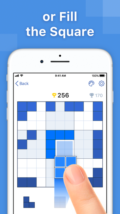 BlockuDoku - Block Puzzle Screenshot 2