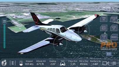 How to cancel & delete Pro Flight Simulator New York from iphone & ipad 2