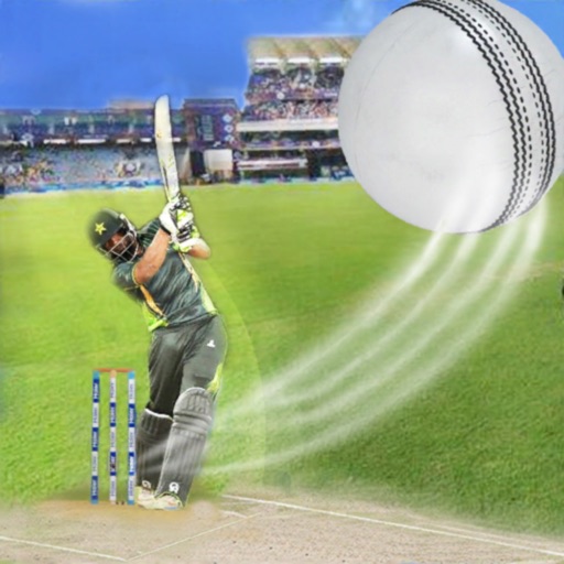 Cricket Puzzle Arcade Game iOS App