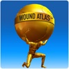 The Wound Atlas Pro