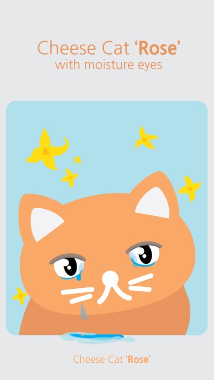 Cheese Cat 'Rose' sticker