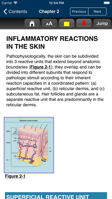 Fitzpatrick's Dermato... screenshot1