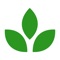 ivy aims to be the one app you need on campus