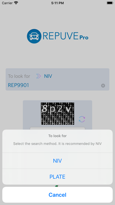 Repuve Pro - Check your Car screenshot 2