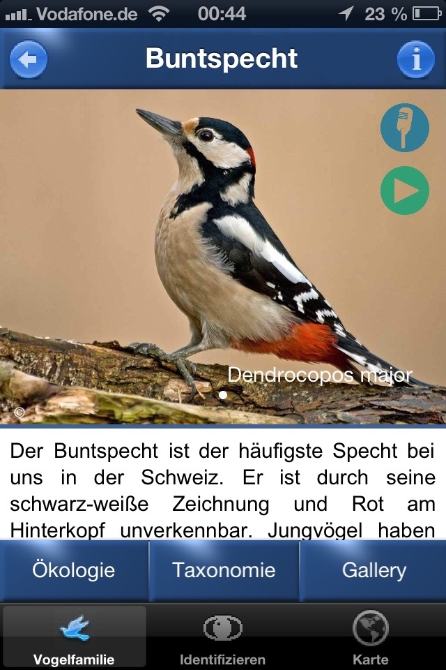 Vogel Id Schweiz screenshot 4