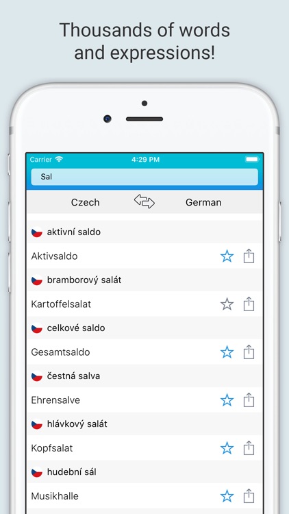 German Czech Dictionary +