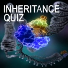Genetics Inheritance Quiz C