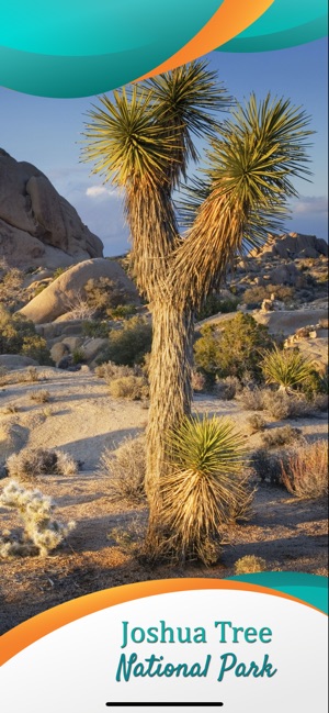 Joshua Tree National Park - US(圖1)-速報App