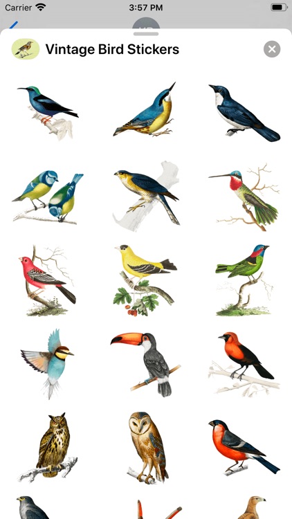 Vintage Bird Stickers