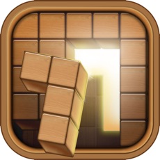 Activities of Woody Puzzle Block Game