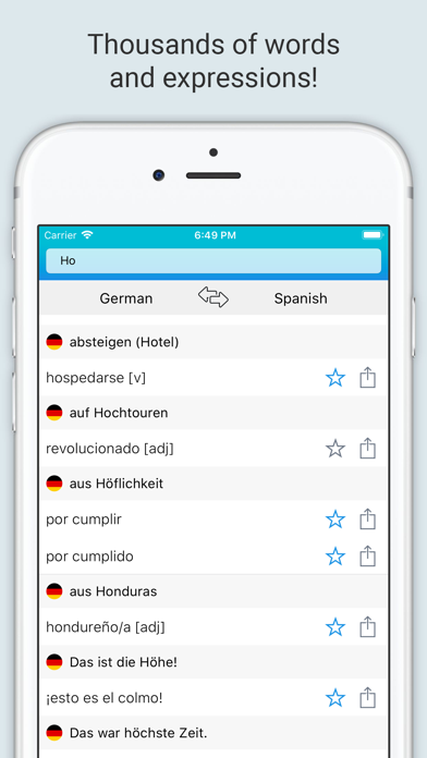 Spanish-German Dictionary + screenshot 4